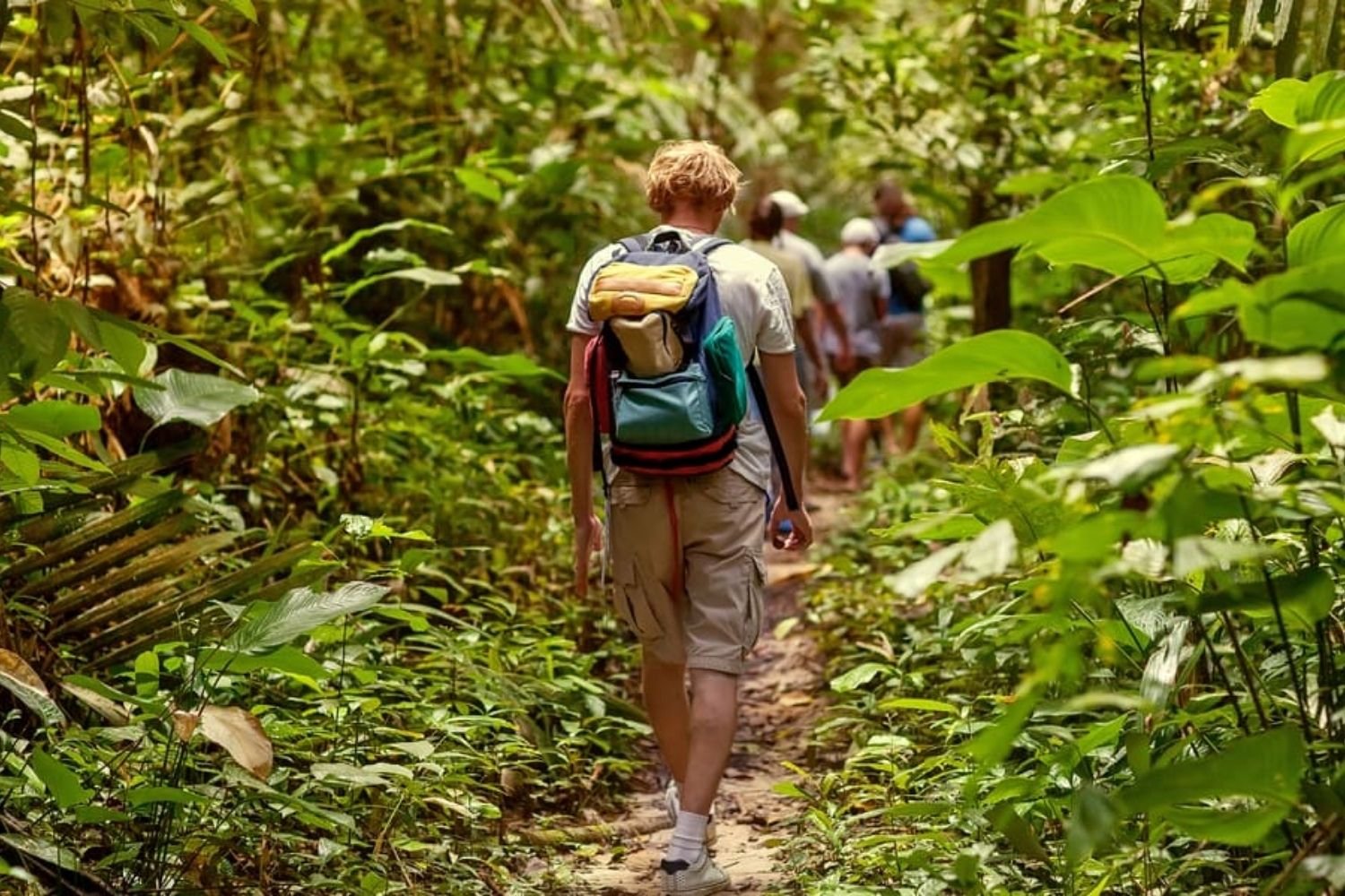 jungletrekkingindandeliprice